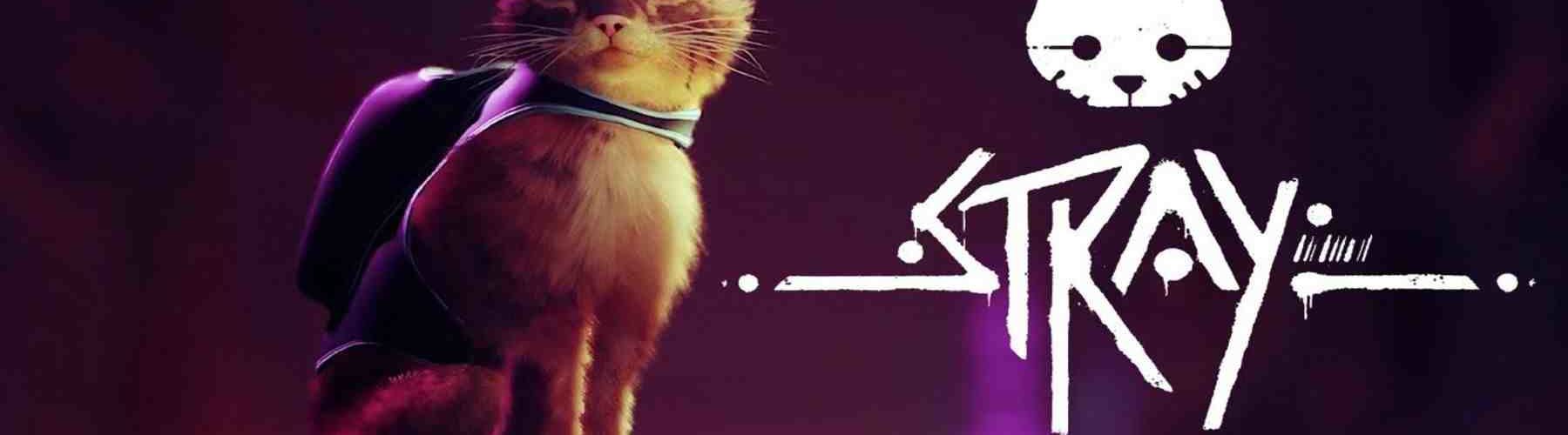 PS5 Cat Game Stray pourrait bientôt obtenir des informations sur la date de sortie