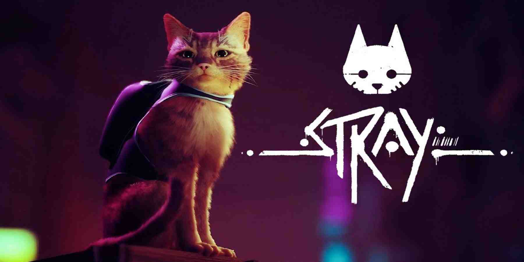 PS5 Cat Game Stray pourrait bientôt obtenir des informations sur la date de sortie